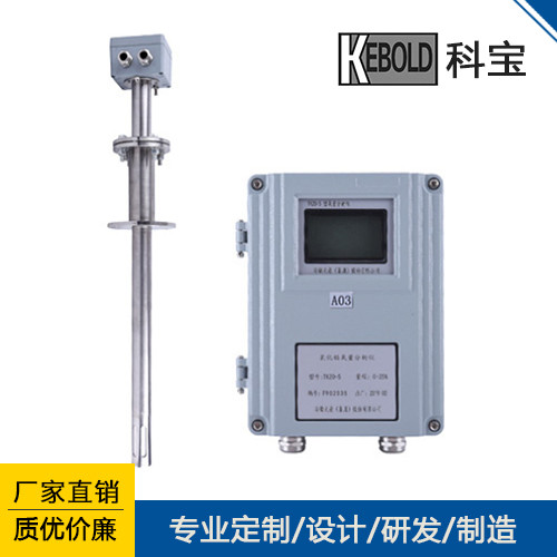 ZrO2-III型氧化鋯氧分析儀 用于燃?xì)?燃煤/燃油多種爐型